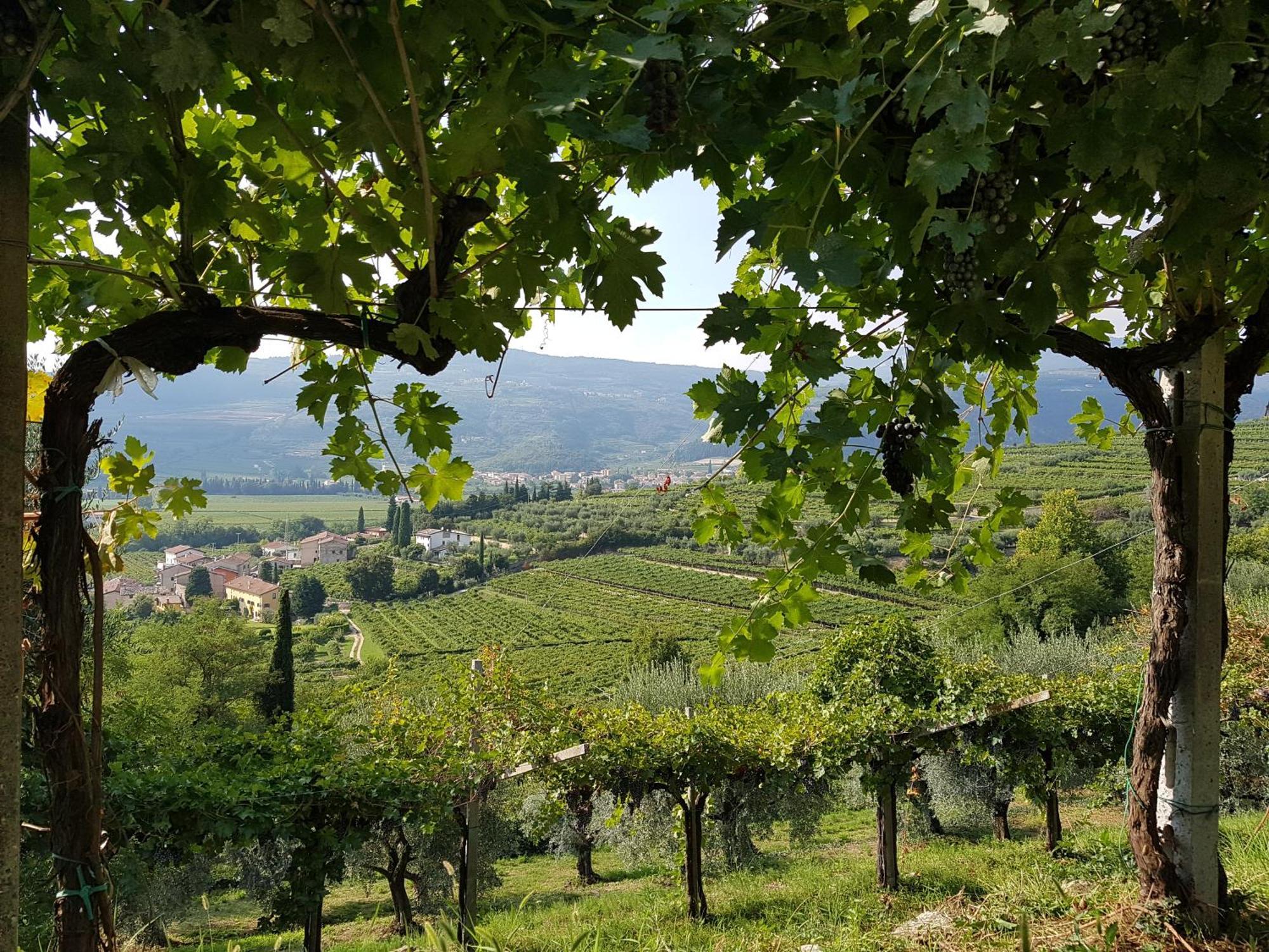 Agriturismo Valentina Cubi فومانه المظهر الخارجي الصورة