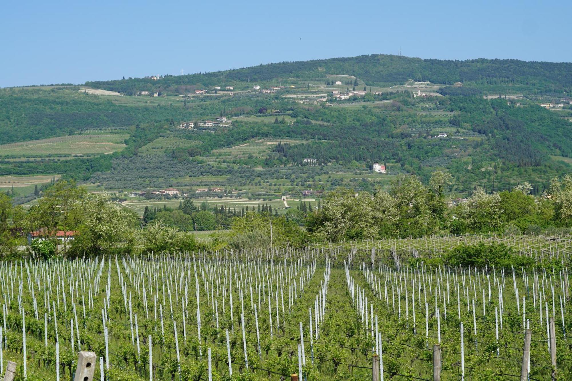 Agriturismo Valentina Cubi فومانه المظهر الخارجي الصورة